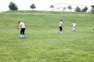 99青草视频,探寻青春记忆中的绿色时光